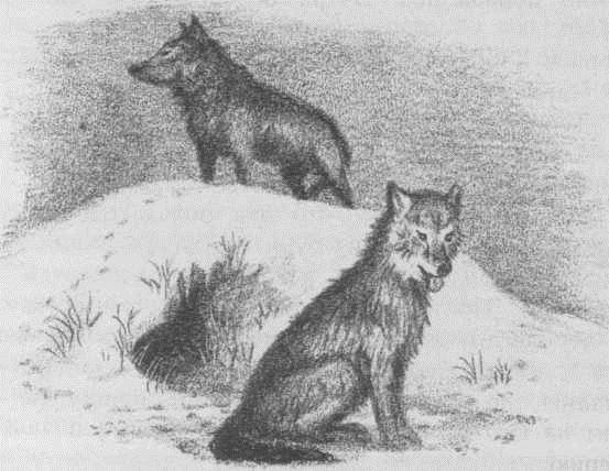 У Серебряного озера ч.2 (На берегу Тенистого ручья) - _21.jpg