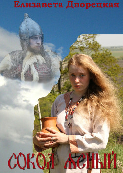 Книга Сокол Ясный