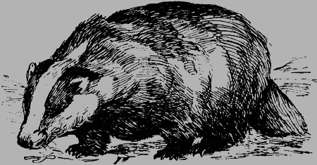 Неожиданные встречи - img18.png