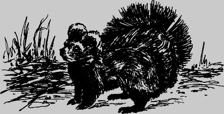 Неожиданные встречи - img19.png