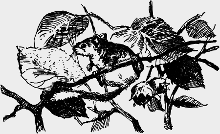 Неожиданные встречи - img22.png