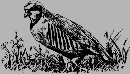 Неожиданные встречи - img36.png