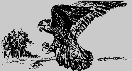 Неожиданные встречи - img37.png