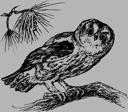 Неожиданные встречи - img39.png