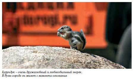 Бизнес как экспедиция. Честные истории для героев и волшебниц - i_044.jpg