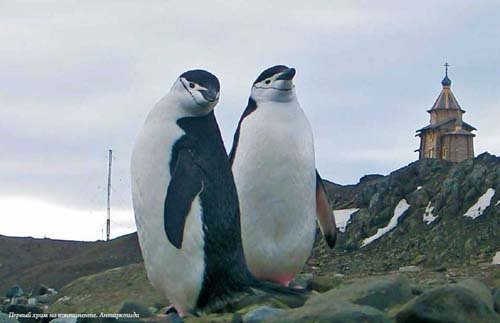 Бизнес как экспедиция. Честные истории для героев и волшебниц - i_090.jpg