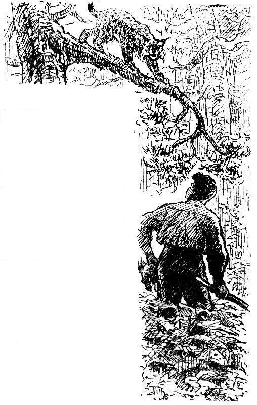 Инсуху - маралья вода - pic_7.jpg