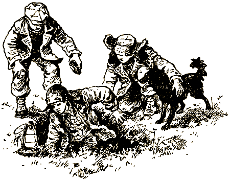 Тайна Золотой долины (др. изд.) - i_023.png