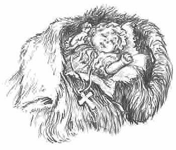 Сибирочка (сборник) - i_004.jpg