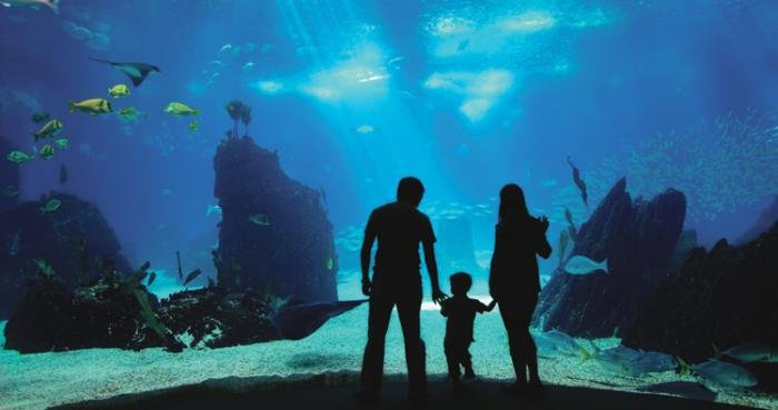 Страны и народы. Вопросы и ответы - nation_03.jpg