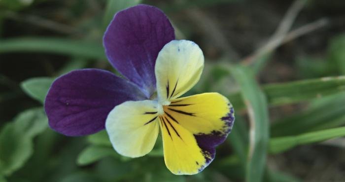 Страны и народы. Вопросы и ответы - nation_50.jpg