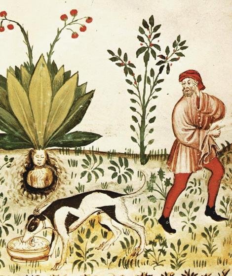 Страны и народы. Вопросы и ответы - nation_59_2.jpg