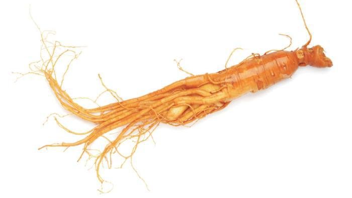 Страны и народы. Вопросы и ответы - nation_60.jpg