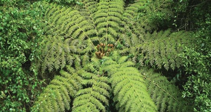 Страны и народы. Вопросы и ответы - nation_64.jpg