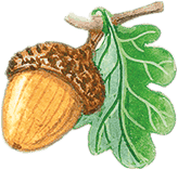 Учитель вранья - i_081.png