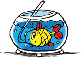 Звёздное небо - _014.png