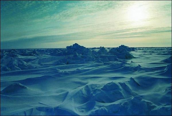 Полюс. Неутоленная жажда - i_030.jpg