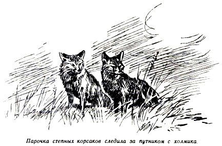 По следу - pic_11.jpg