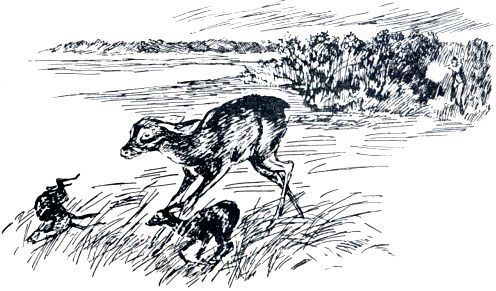 По следу - pic_38.jpg