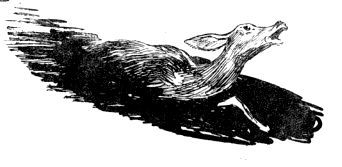 По следу - pic_40.jpg