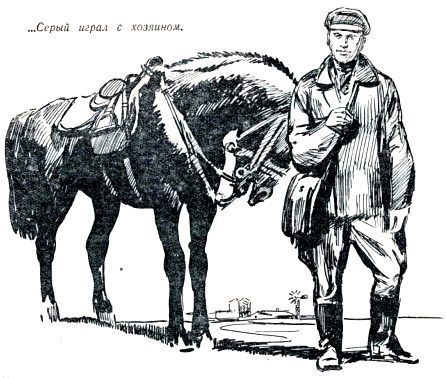 По следу - pic_52.jpg