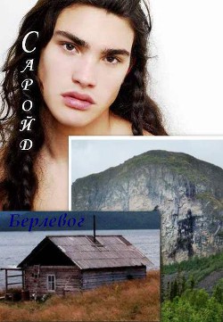 Читать онлайн книгу Саройд (СИ) автор Книга Саройд (СИ)