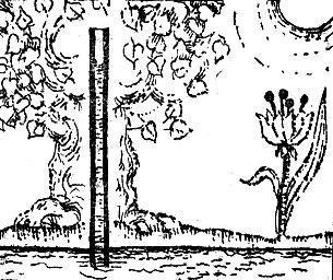 Физика для всех. Молекулы - img_14.jpeg