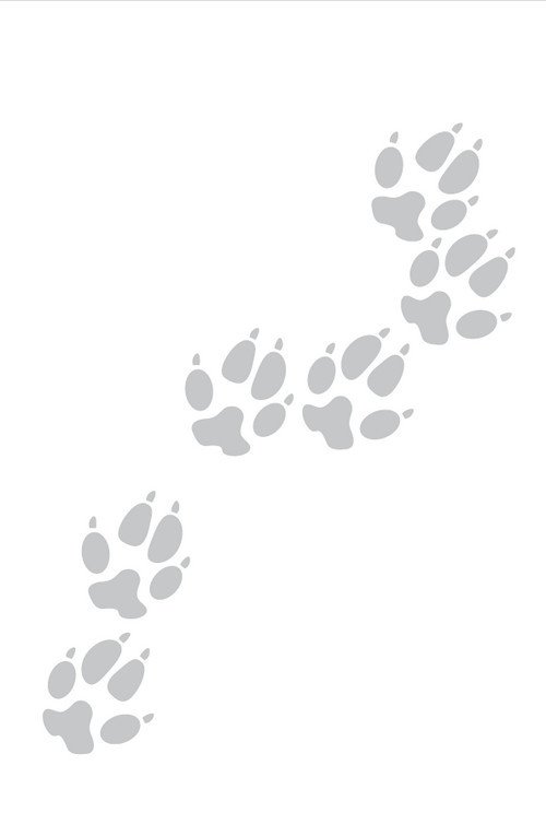 Призрачный - i_010.jpg