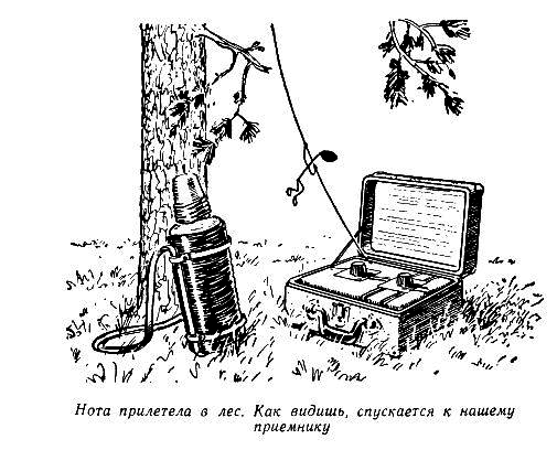 Огненный шар. Повести и рассказы - pic_5.png