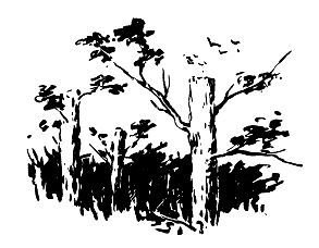 Огненный шар. Повести и рассказы - pic_71.jpg