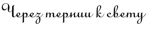 Через тернии к свету (СИ) - i_001.png