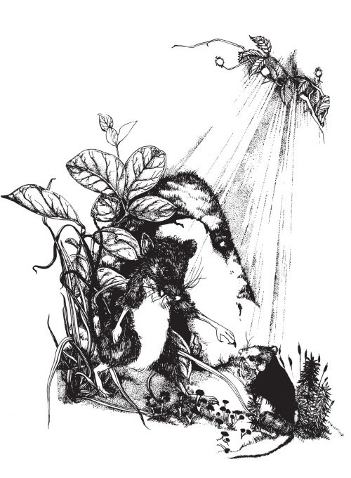 Миссис Фрисби и крысы НИПЗ - i_010.jpg