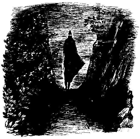 Беглецы. Восстание на золотых приисках (с илл.) - pic_7.png