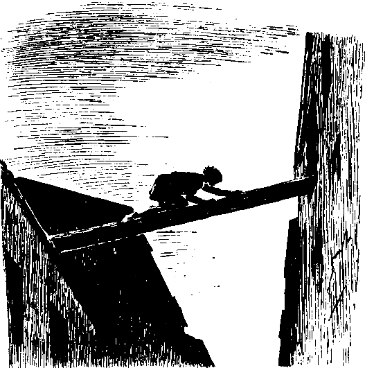 Беглецы. Восстание на золотых приисках (с илл.) - pic_25.png