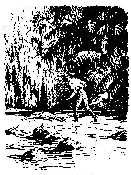 Беглецы. Восстание на золотых приисках (с илл.) - pic_42.png