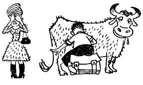 Грибы на асфальте - pic_15.jpg