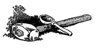 Аршин, сын Вершка. Приключения желудя - pic_10.jpg