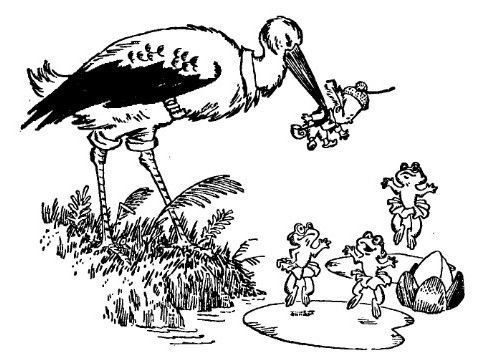 Аршин, сын Вершка. Приключения желудя - pic_13.jpg