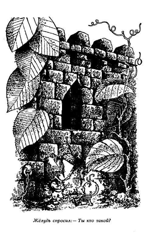 Аршин, сын Вершка. Приключения желудя - pic_14.jpg