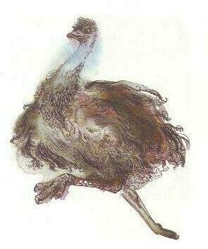 Про коалу Ушастика, черепаху Сарли и Карроинги-эму - img29.jpg