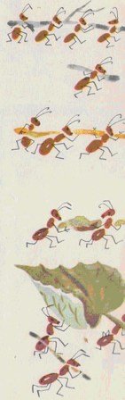 Смешинка - img_15.jpg