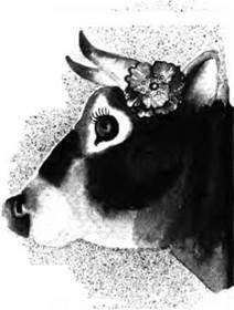 Русалонька із 7-В, або Прокляття роду Кулаківських - i_015.jpg