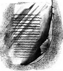 Русалонька із 7-В, або Прокляття роду Кулаківських - i_032.jpg