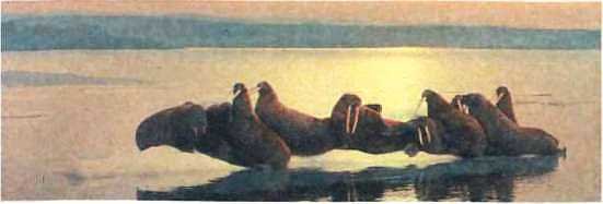 История корабля - i_021.jpg