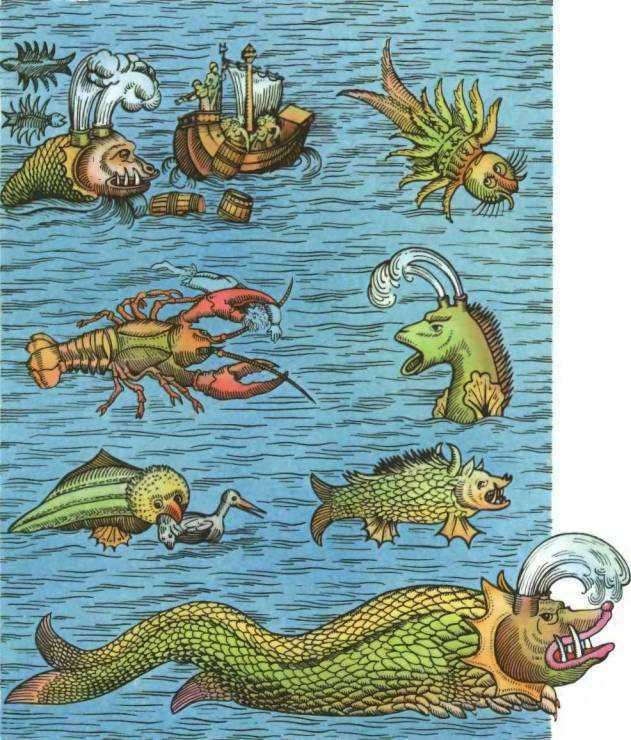 История корабля - i_065.jpg