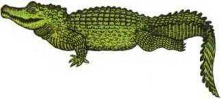 История корабля - i_079.jpg