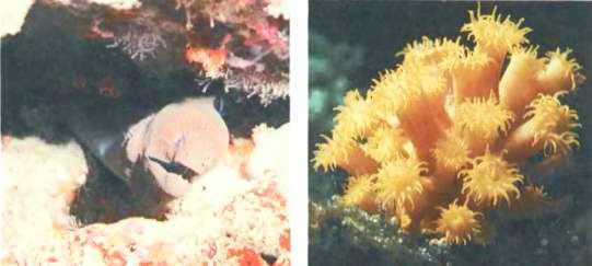 История корабля - i_183.jpg