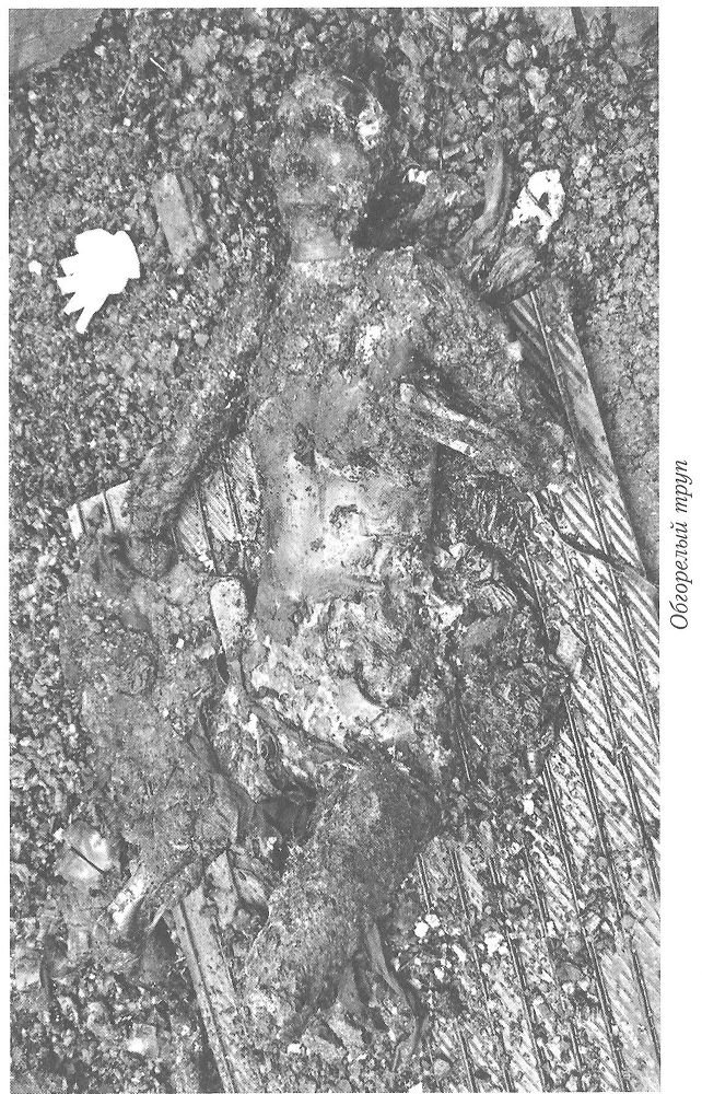 Тайны реального следствия. Записки следователя прокуратуры по особо важным делам - i_013.jpg