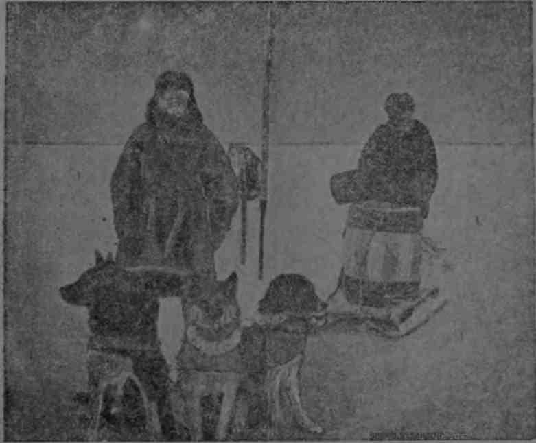 Полярная фактория - img_31.jpeg