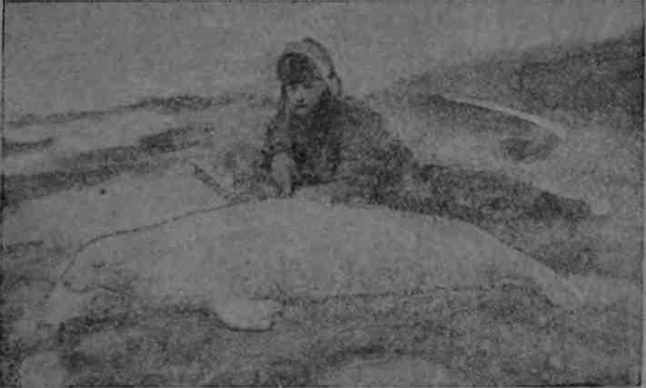 Полярная фактория - img_47.jpeg